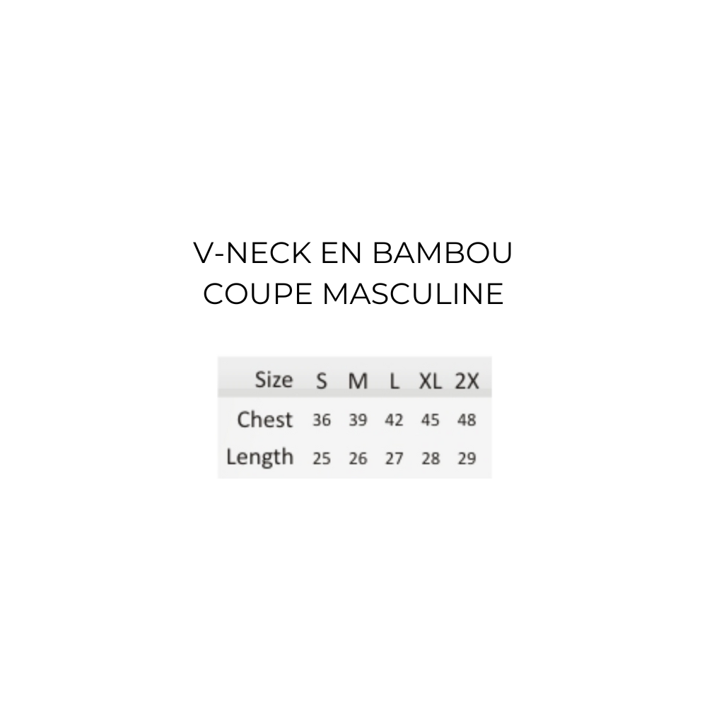 Chandail à manches courtes en bambou à col en V - Coupe masculine - Noir
