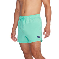 Speedo REDONDO EDGE VOLLEY 14  - Men's Swimwear - Arctic Glass