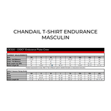 Chandail à manches courtes Endurance - Masculin - Gris