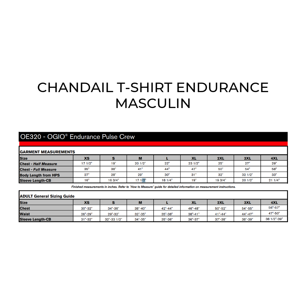 Chandail à manches courtes Endurance - Masculin - Gris