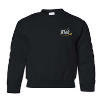 Fleece sweater (cotton hoodie) - Juvenile - Black