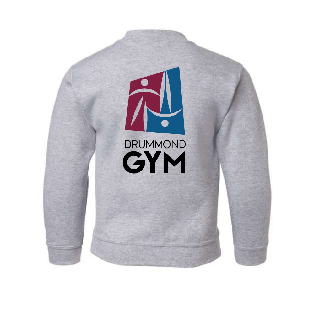 Fleece sweater (cotton hoodie) - Juvenile - Sports gray