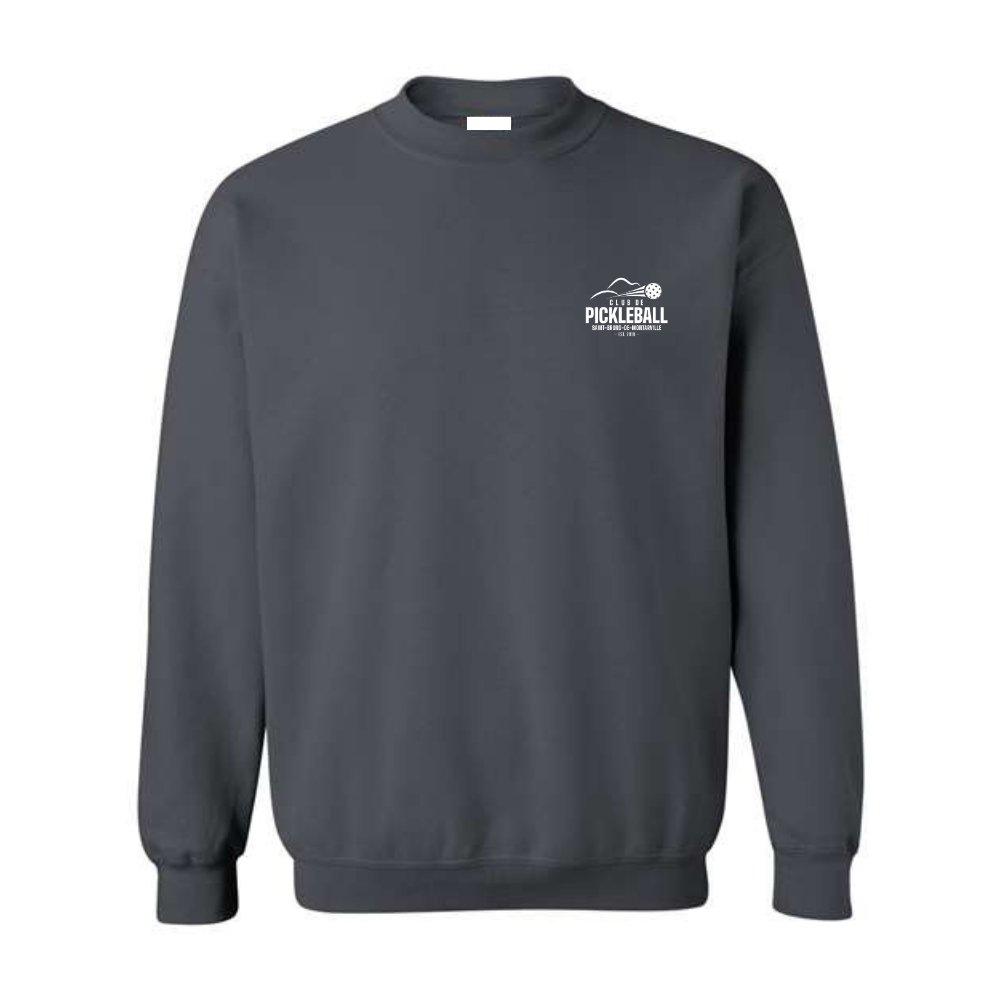 Fleece sweater (cotton hoodie) - Adult - Charcoal
