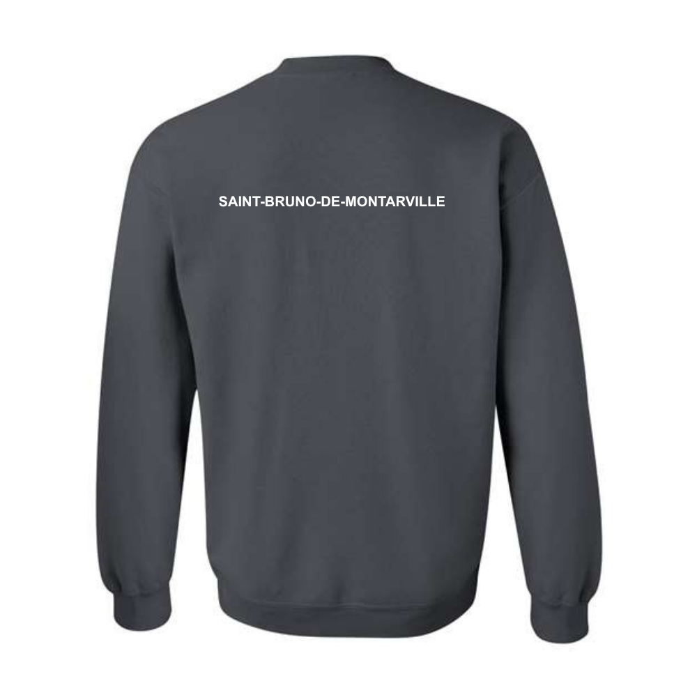 Fleece sweater (cotton hoodie) - Adult - Charcoal